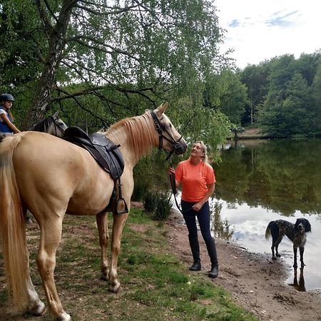 L'Echappee Verte - Gite Equestre 5 Pers Soucht المظهر الخارجي الصورة