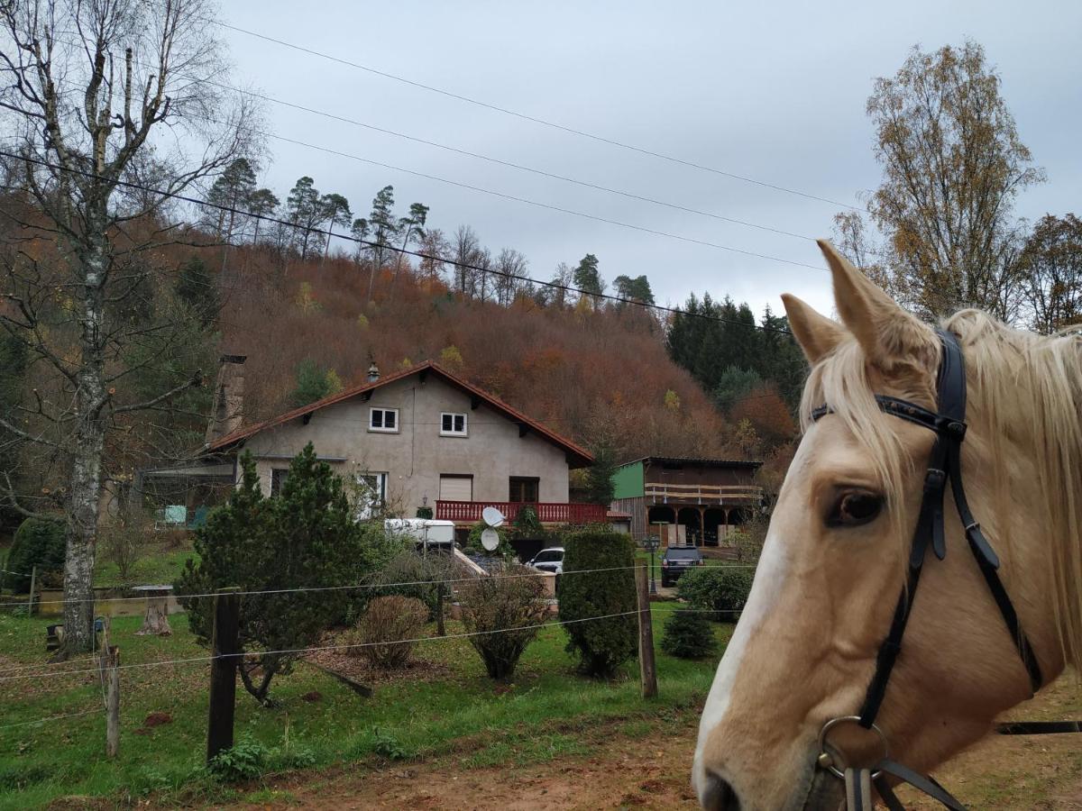 L'Echappee Verte - Gite Equestre 5 Pers Soucht المظهر الخارجي الصورة
