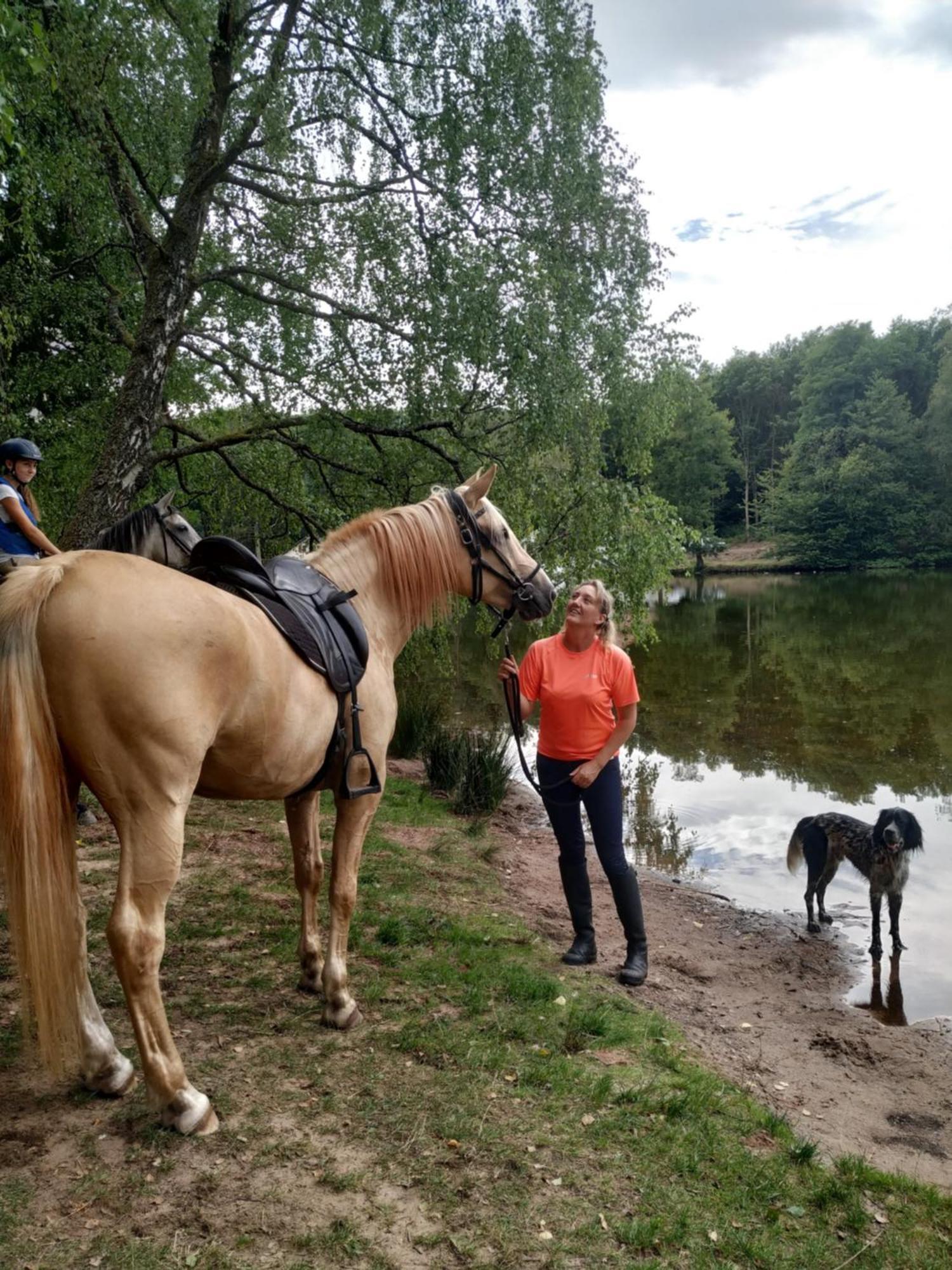 L'Echappee Verte - Gite Equestre 5 Pers Soucht المظهر الخارجي الصورة
