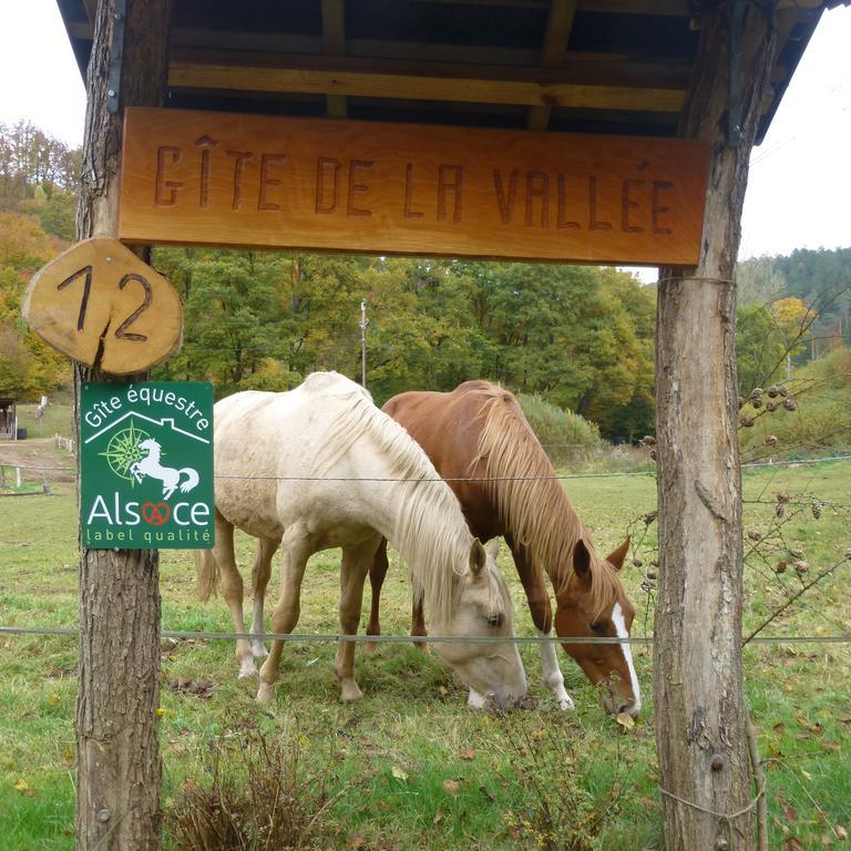 L'Echappee Verte - Gite Equestre 5 Pers Soucht المظهر الخارجي الصورة