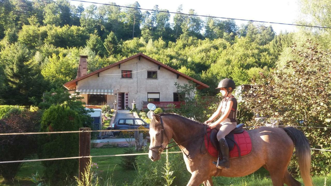 L'Echappee Verte - Gite Equestre 5 Pers Soucht المظهر الخارجي الصورة